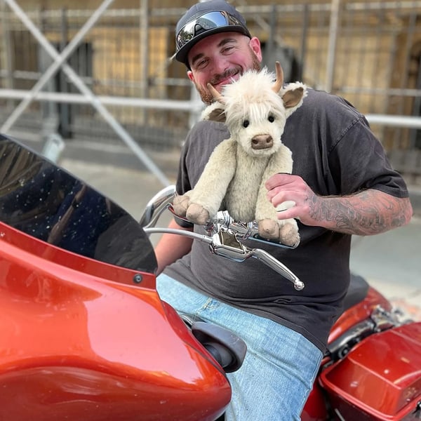 Worocky Highland Cow Plush Toy